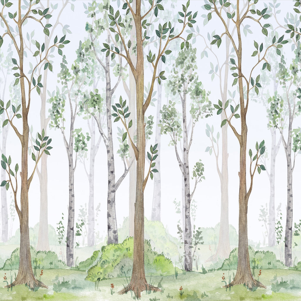Papel de Parede Adesivo Menino Floresta