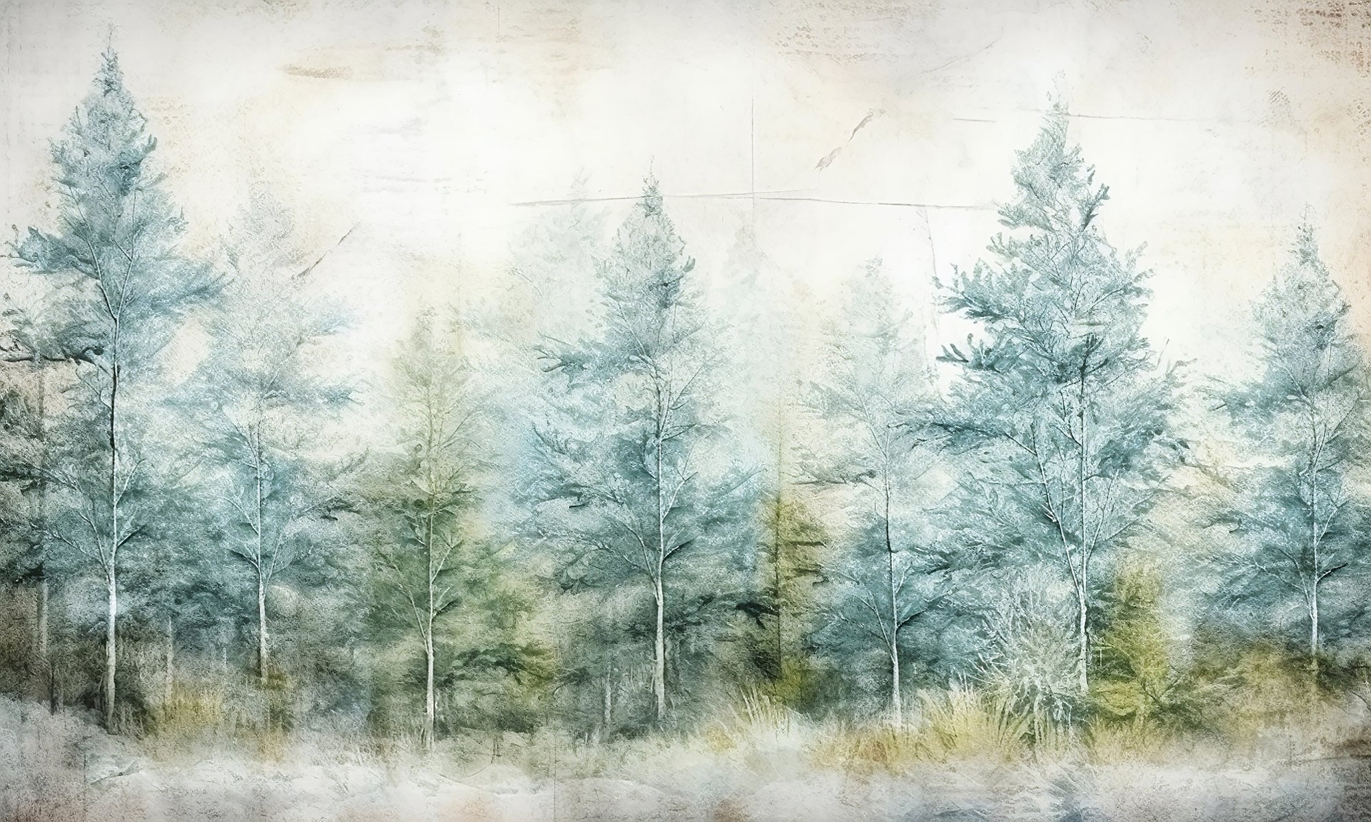 Papel de Parede Adesivo  Floresta de Pinheiros
