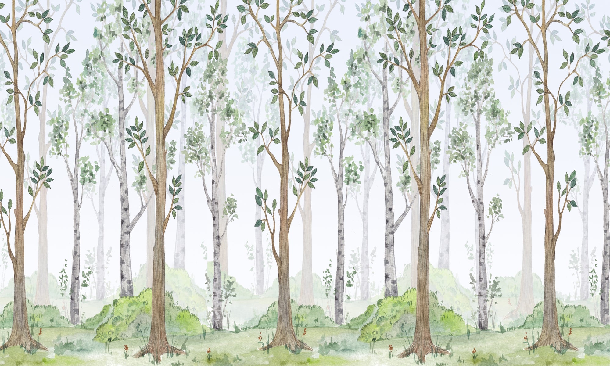 Papel de Parede Adesivo Menino Floresta