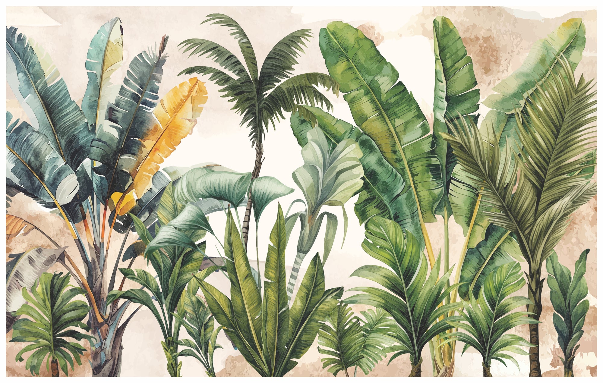 Papel de Parede - Floresta Tropical Nativa