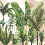 Papel de Parede - Floresta Tropical Nativa