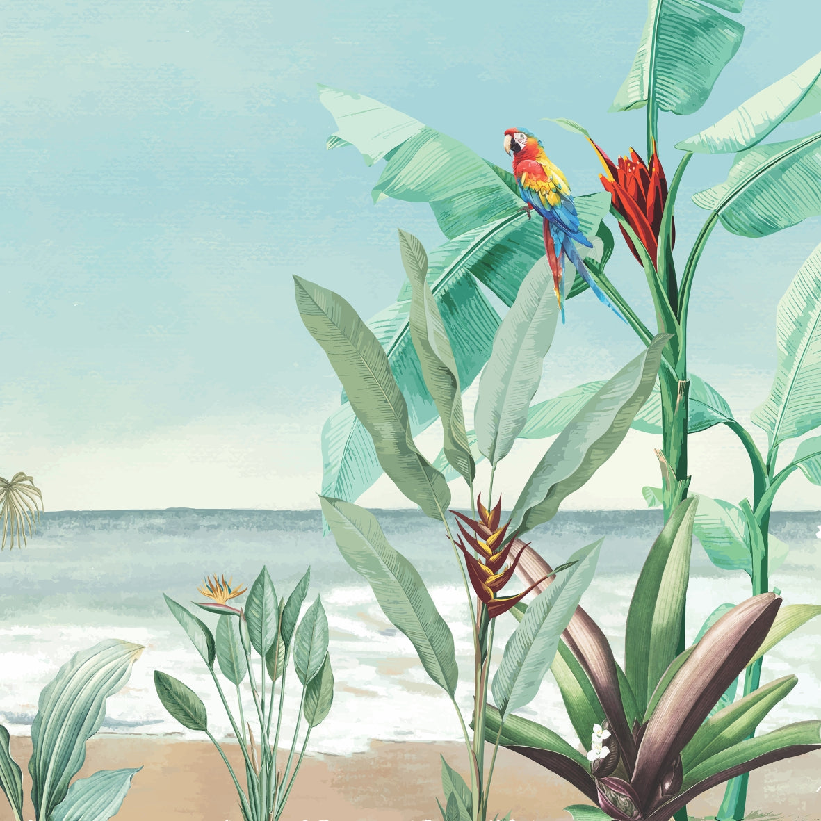 Papel de Parede - Papel de Parede - Plantas Tropicais Praia