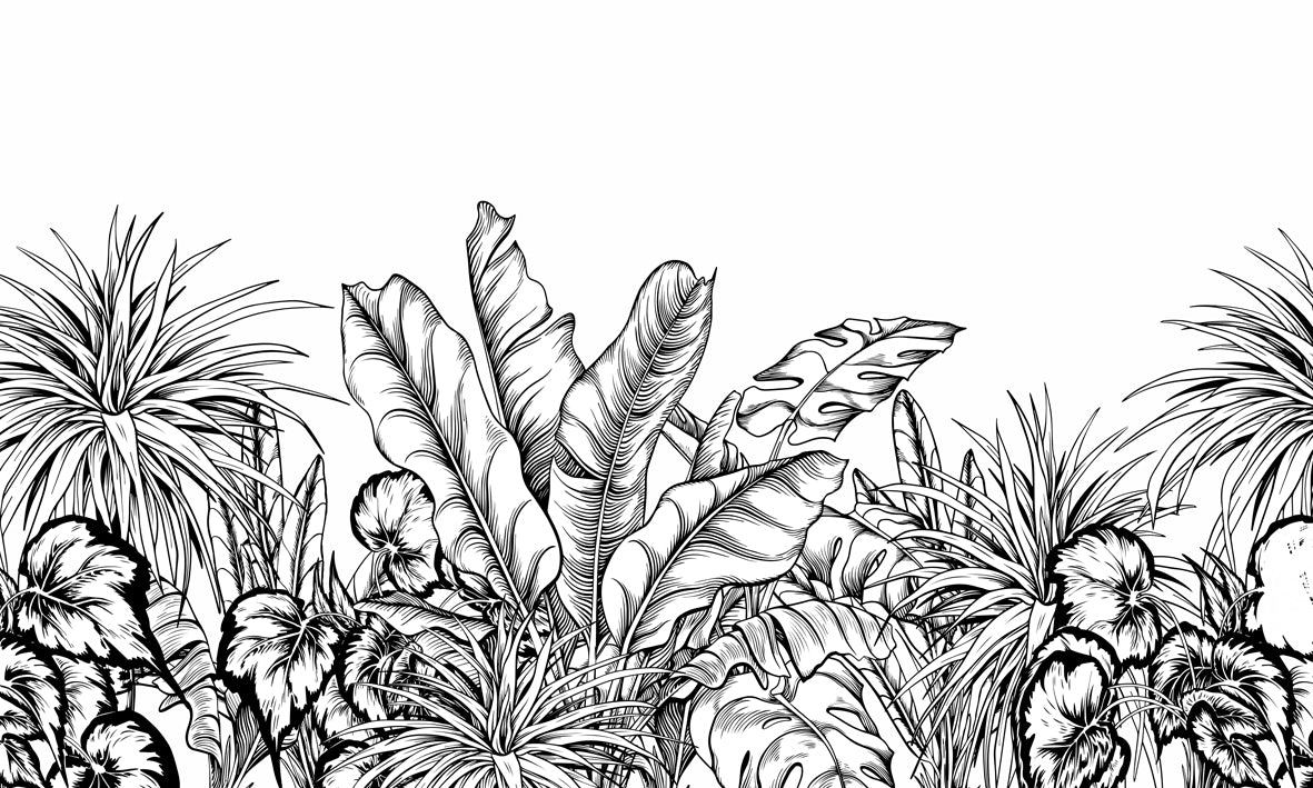 Papel de Parede - Folhas e Sombras