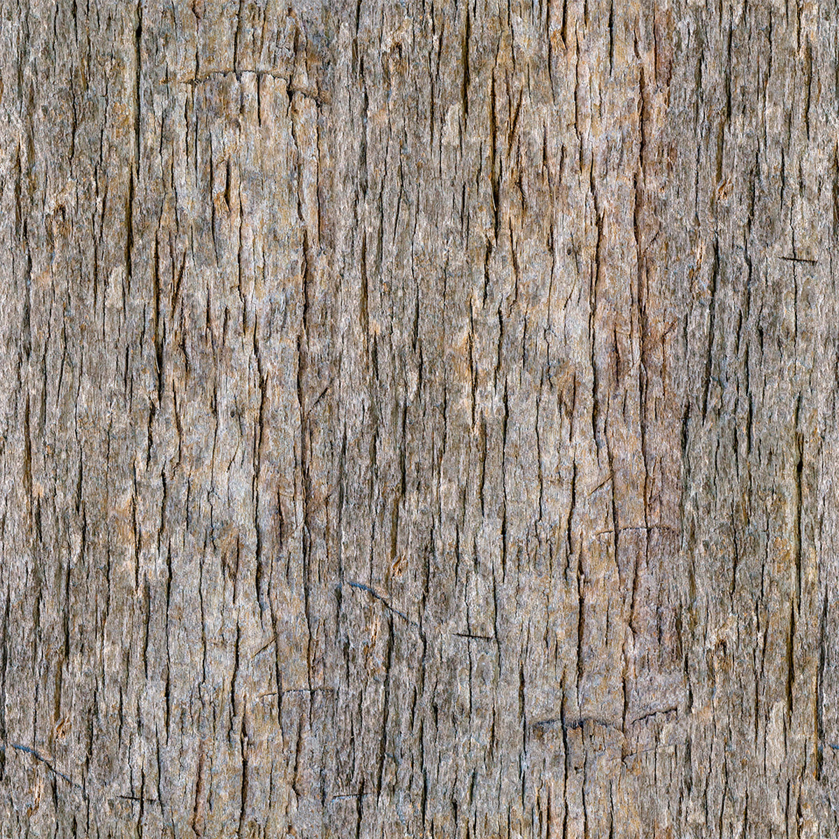 Papel de Parede Adesivo Industrial Casca de Árvore Decor 103