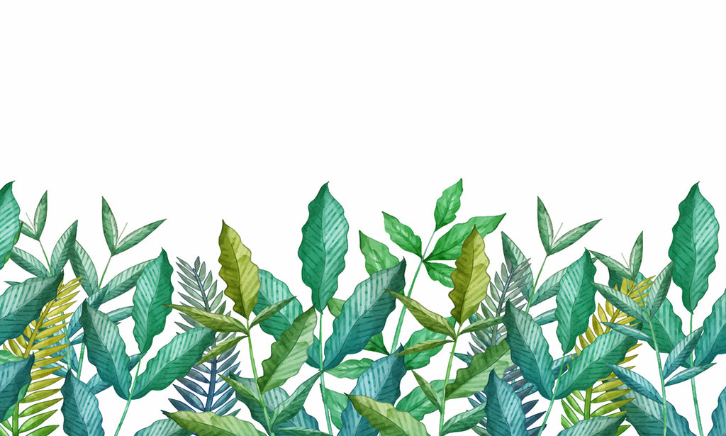 Papel de Parede - Verde Vibrante